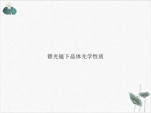 锥光镜下晶体光学性质PPT.