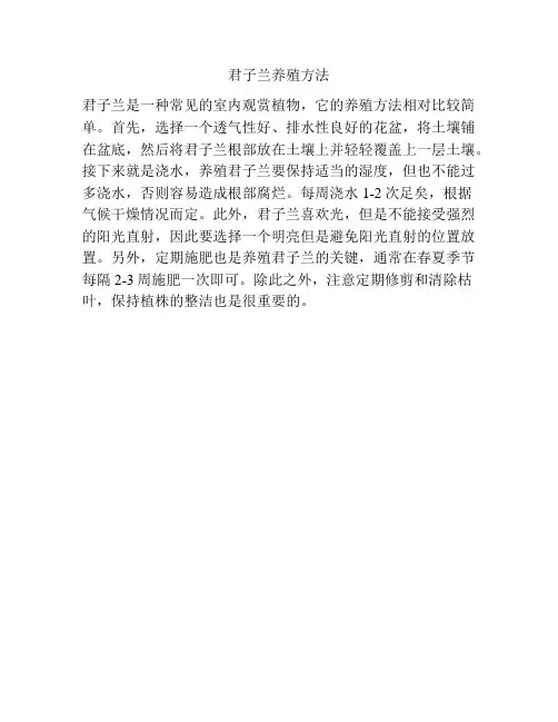 君子兰养殖方法