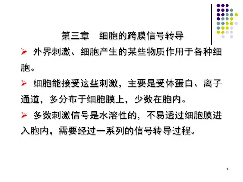 第三章-信号转导