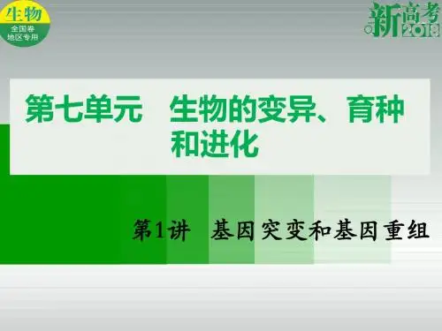 高考生物总复习第七单元生物的变异、育种和进化第1讲基因突变和基因重组课件