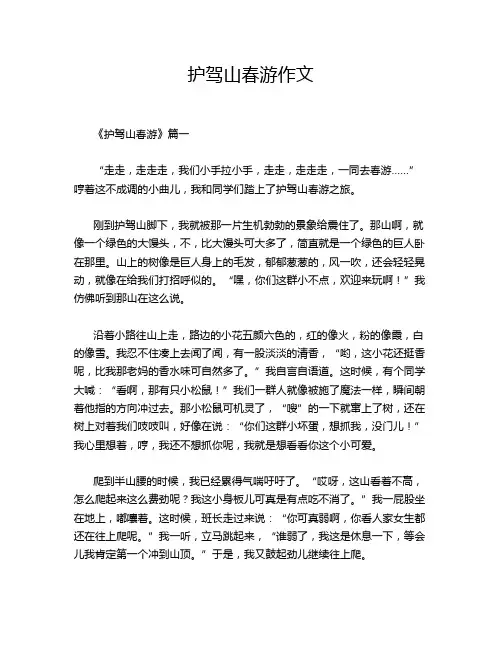 护驾山春游作文