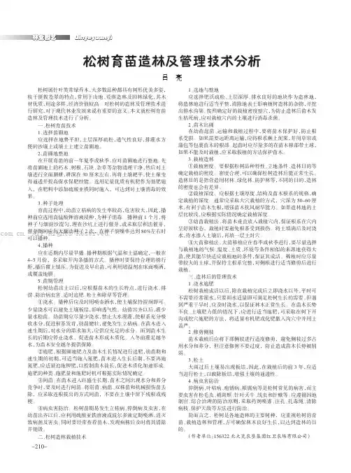 松树育苗造林及管理技术分析