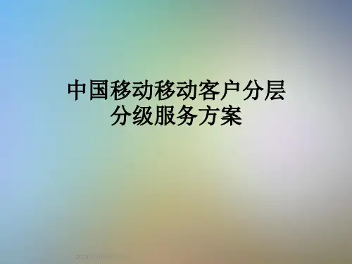 中国移动移动客户分层分级服务方案