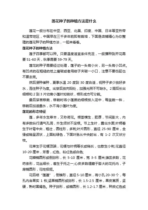 莲花种子的种植方法是什么