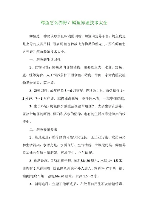 鳄鱼怎么养好？鳄鱼养殖技术大全