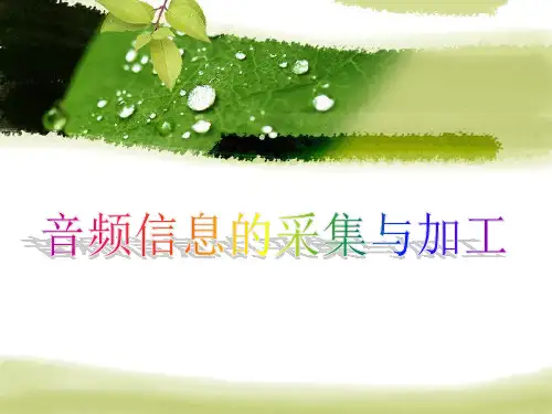 音频信息的采集与加工PPT课件