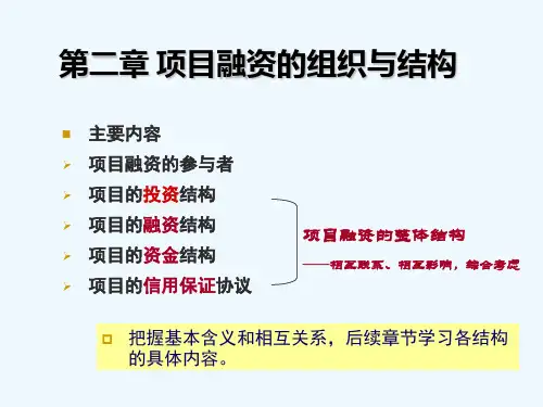 项目融资的组织与结构概述