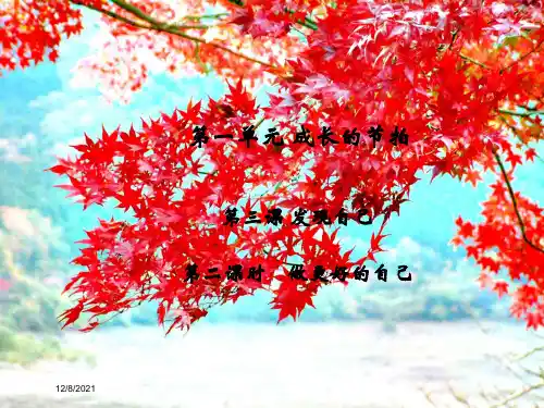 七年级道德与法治上册 第一单元 成长的节拍 第三课 发现自己 第2框 做更好的自己习题课件 
