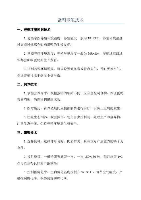 蛋鸭养殖技术