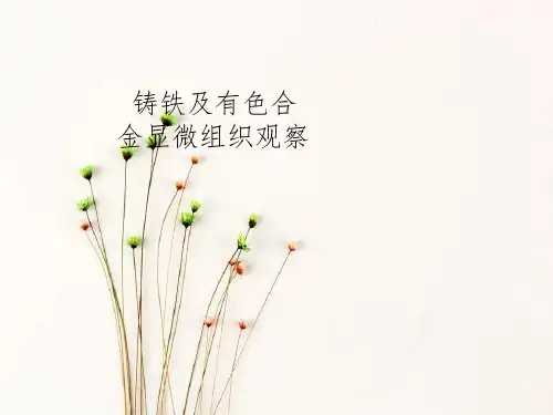 铸铁及有色金属显微组织观察1
