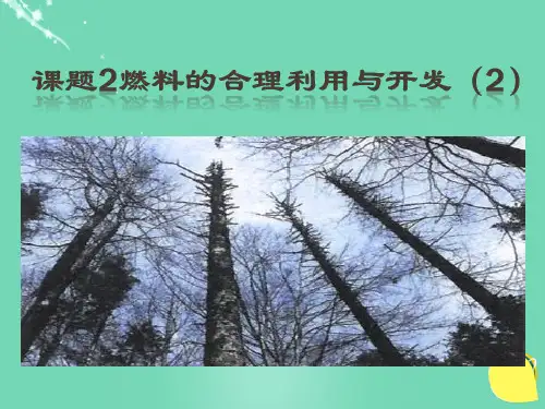 九年级化学上册 7.2 燃料的合理利用与开发课件2 (新版)新人教版