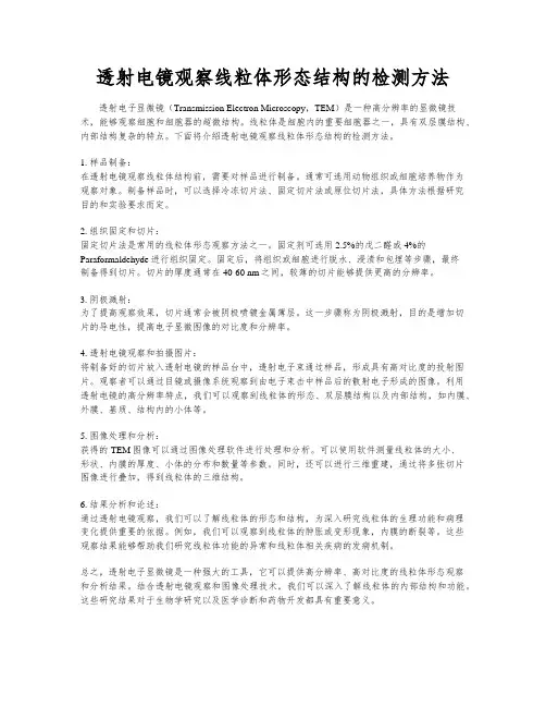透射电镜观察线粒体形态结构的检测方法