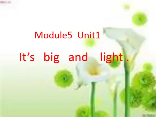 五年级(下)英语公开课Module5Unit1 It's big and light. 外研版课件下