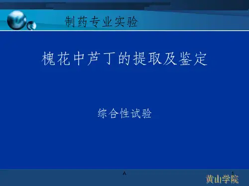 槐花中芦丁的提取及鉴定