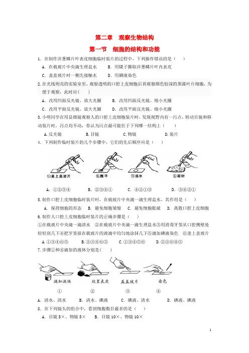 2013-2014学年七年级生物上册《第一单元 第二章 观察生物结构》第一节 细胞的结构和功能练习题