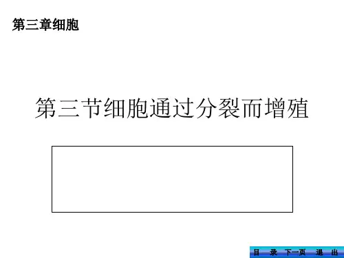第三章第3节细胞通过分裂而增殖ppt课件