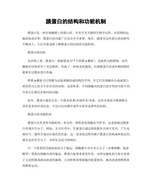 膜蛋白的结构和功能机制