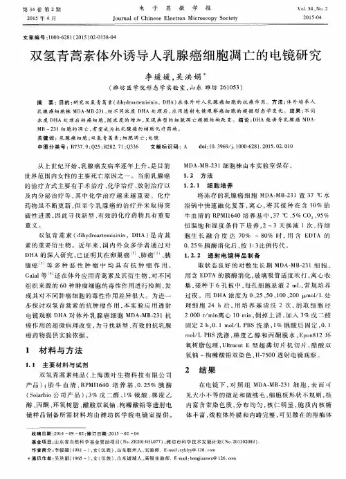 双氢青蒿素体外诱导人乳腺癌细胞凋亡的电镜研究