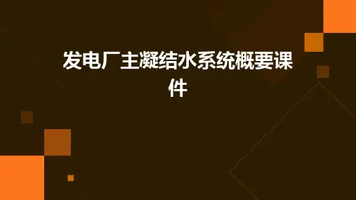 发电厂主凝结水系统概要课件
