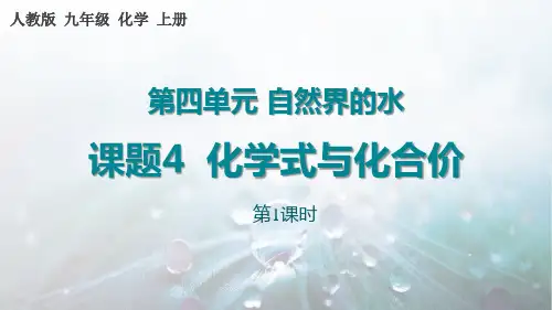 《化学式与化合价》PPT课件