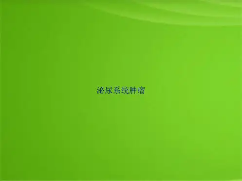 泌尿系统肿瘤(共69张PPT)