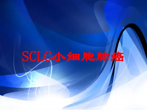 SCLC小细胞肺癌培训课件