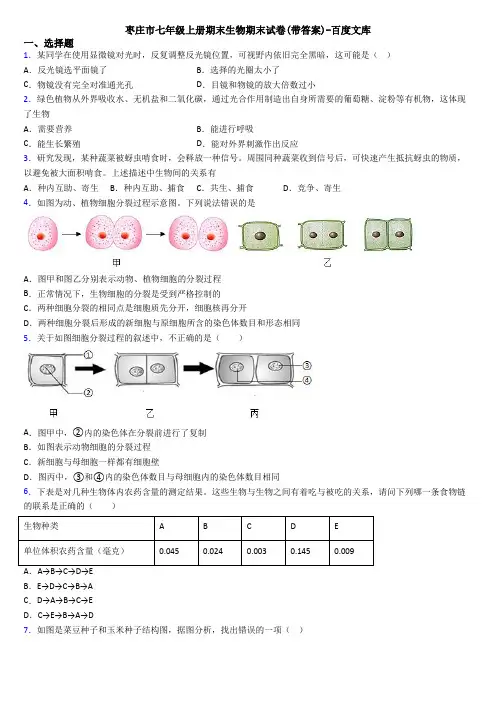 枣庄市七年级上册期末生物期末试卷(带答案)-百度文库