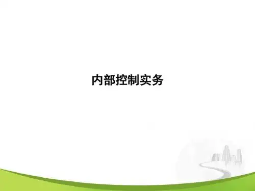 内部控制实务PPT课件