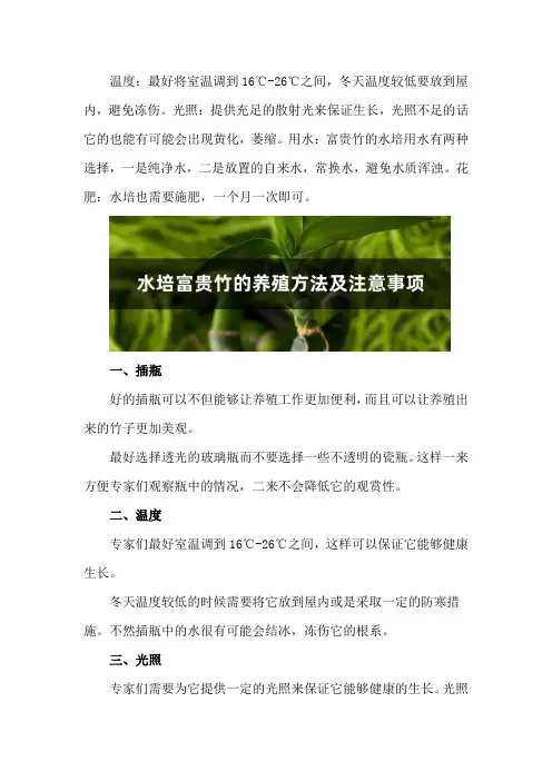 水培富贵竹的养殖方法及注意事项