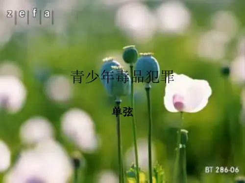 青少年毒品犯罪
