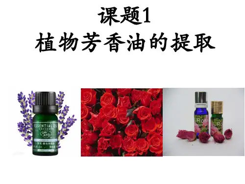 山东省烟台栖霞一中高中生物选修一专题六课题1 植物芳香油的提取(共22页ppt)人教版
