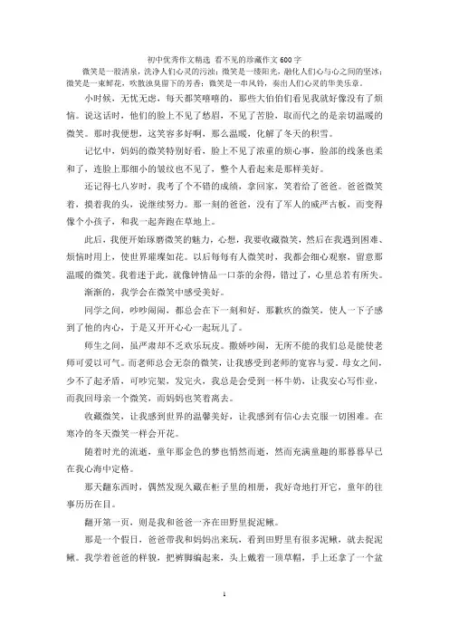 初中优秀作文精选 看不见的珍藏作文600字