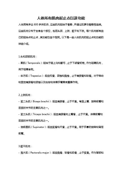 人体所有肌肉起止点以及功能