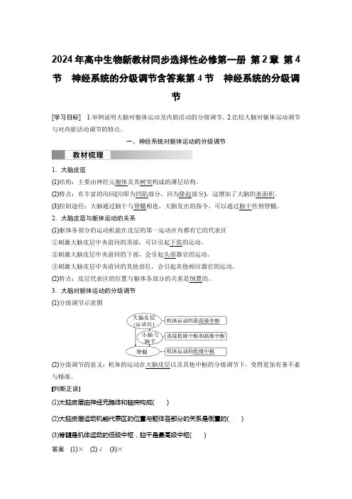 2024年高中生物新教材同步选择性必修第一册 第2章 第4节 神经系统的分级调节含答案