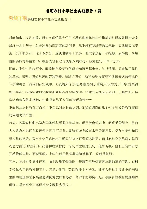 暑期农村小学社会实践报告3篇