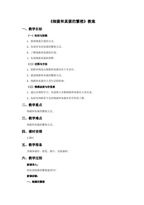 《细菌和真菌的繁殖》教案2