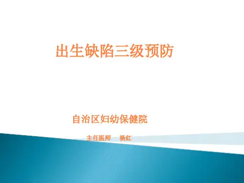 出生缺陷三级预防PPT课件