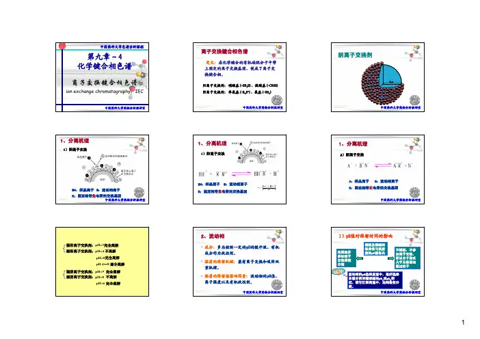 第9章4-化学键合相色法-离子交换键合相