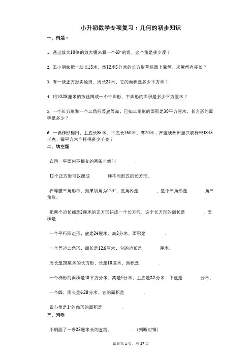 小学数学-有答案-小升初数学专项复习：几何的初步知识