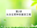 高考生物一轮复习 2.4.2从杂交育种到基因工程课件 新课标