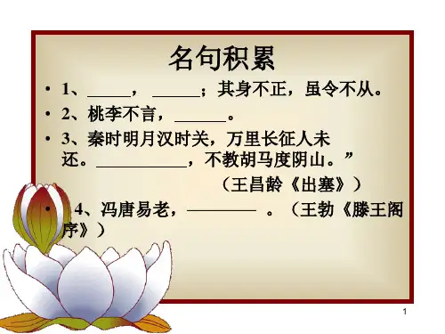 李将军列传(整理)PPT课件