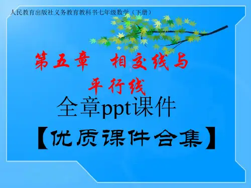 人教版-七年级下册数学-第五章相交线与平行线全章ppt课件 