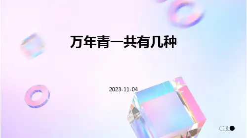 万年青一共有几种