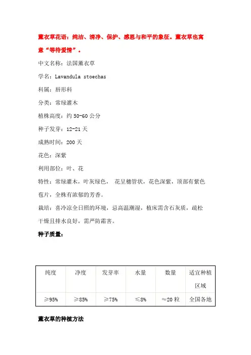 薰衣草花语