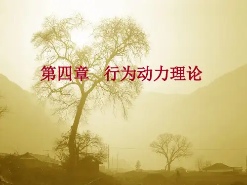 第四章---行为动力理论