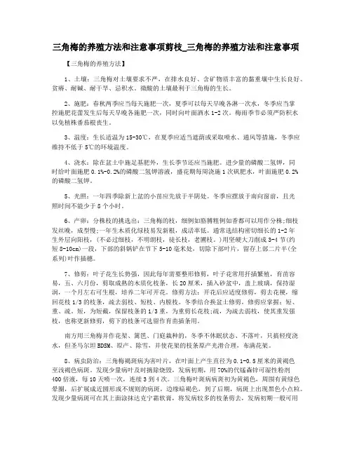 三角梅的养殖方法和注意事项剪枝_三角梅的养殖方法和注意事项