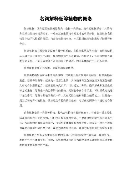 名词解释低等植物的概念