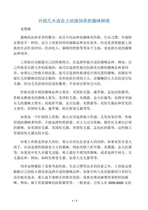介绍几大适合上班族饲养的猫咪种类