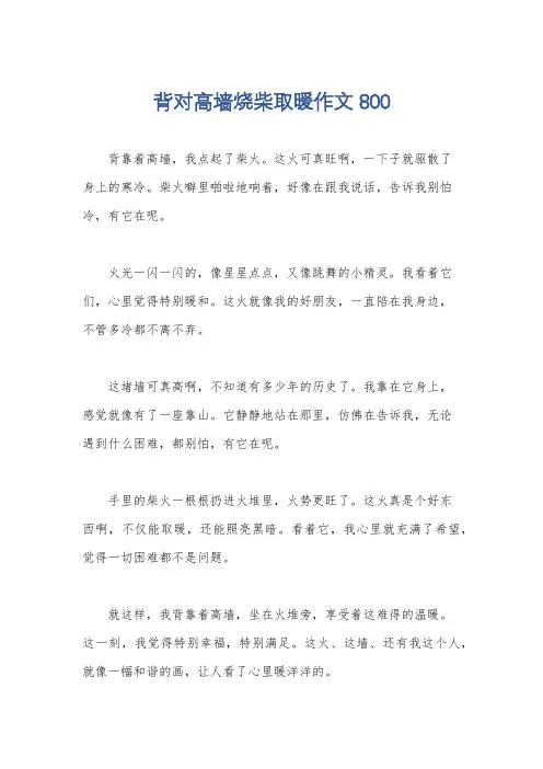 背对高墙烧柴取暖作文800