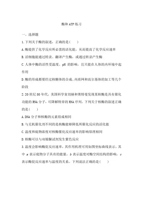 2024届高中生物一轮复习练习：酶和ATP(含答案)